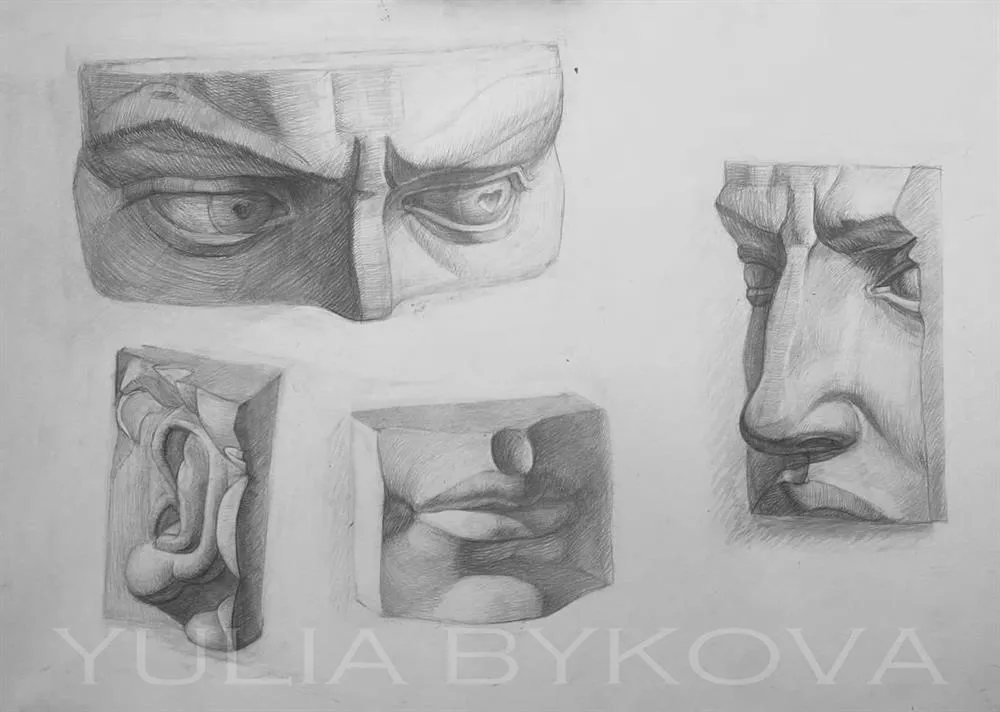 Части лица Давида