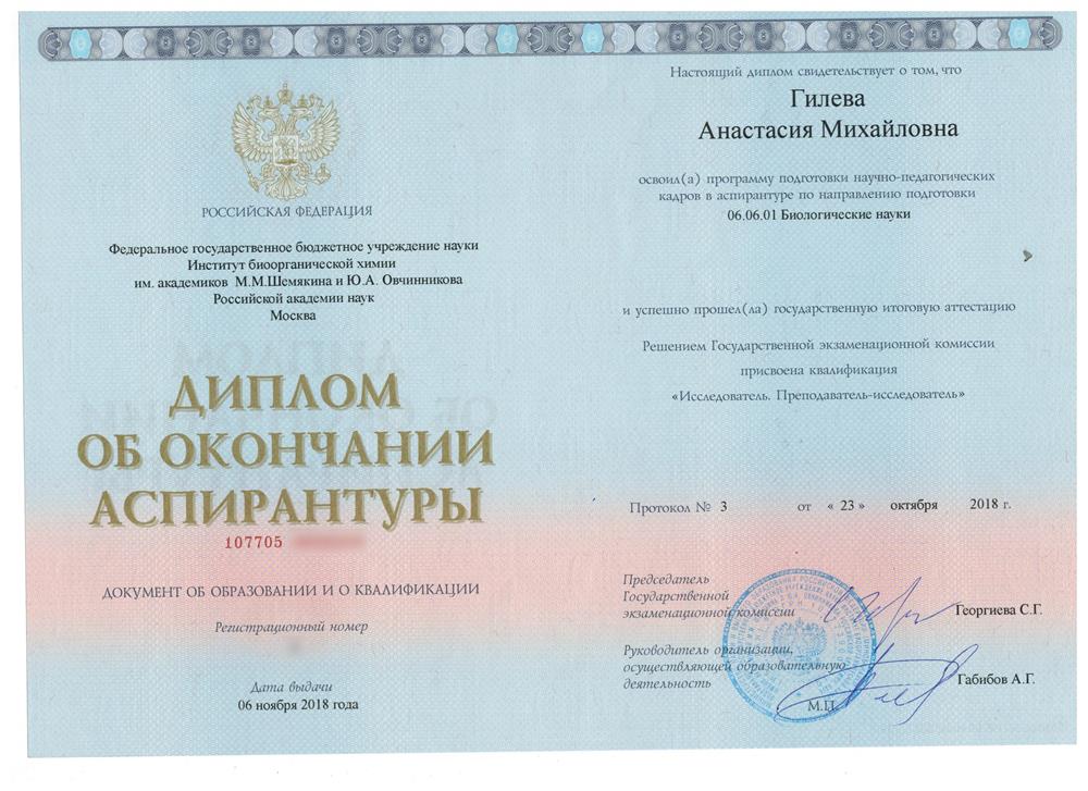 Диплом. Аспирантура.