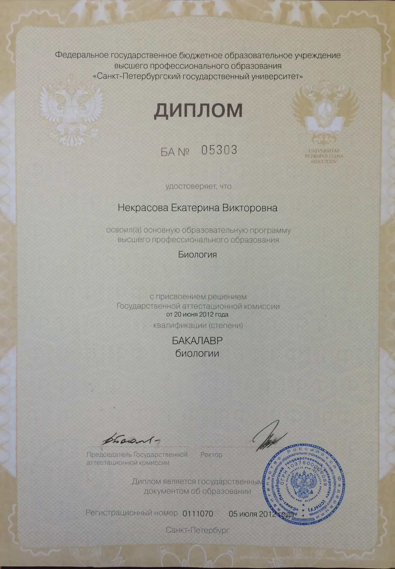 Диплом бакалавра