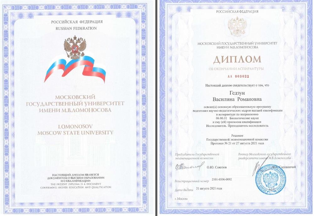 Диплом педагога-исследователя