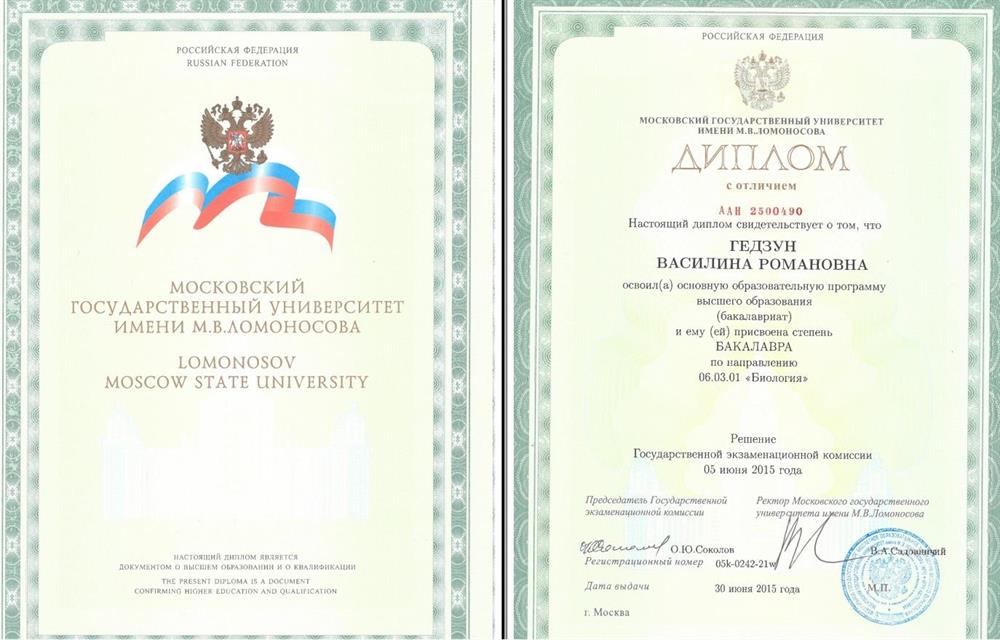 Диплом Бакалавра