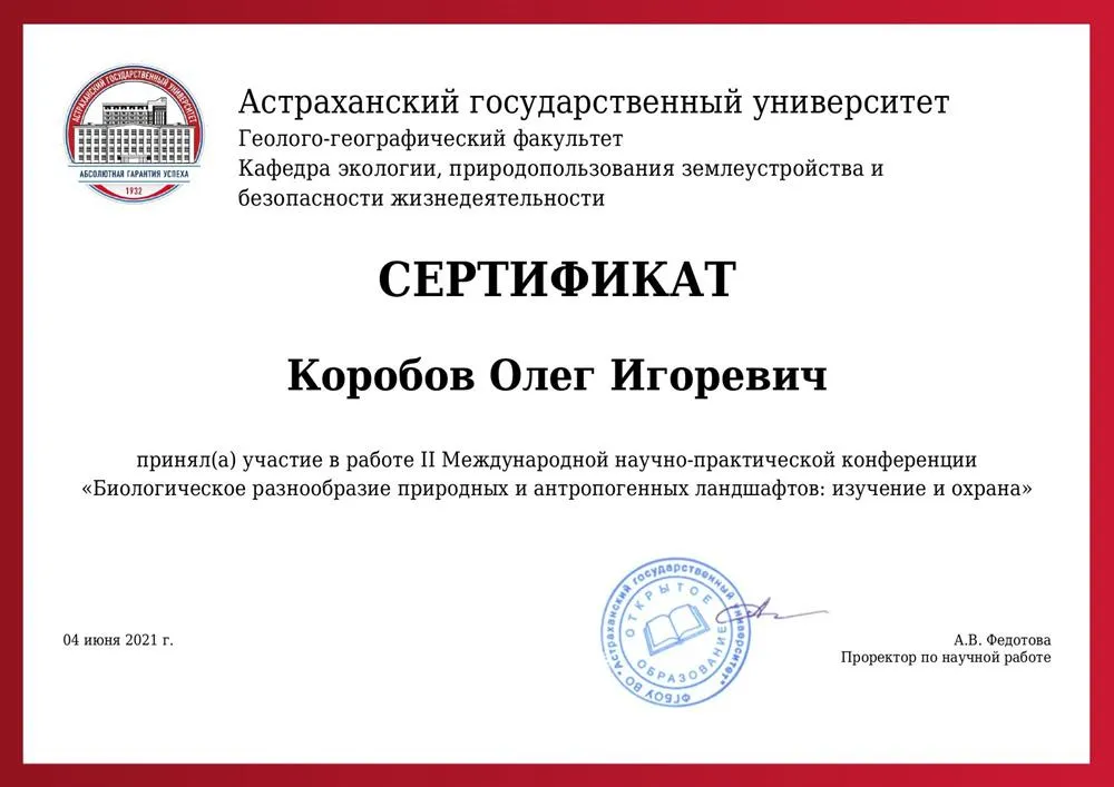 Сертификат участия в международной конференции