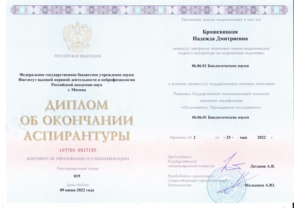 Диплом об окончании аспирантуры ИВНДиНФ РАН по специальности Преподаватель-исследователь