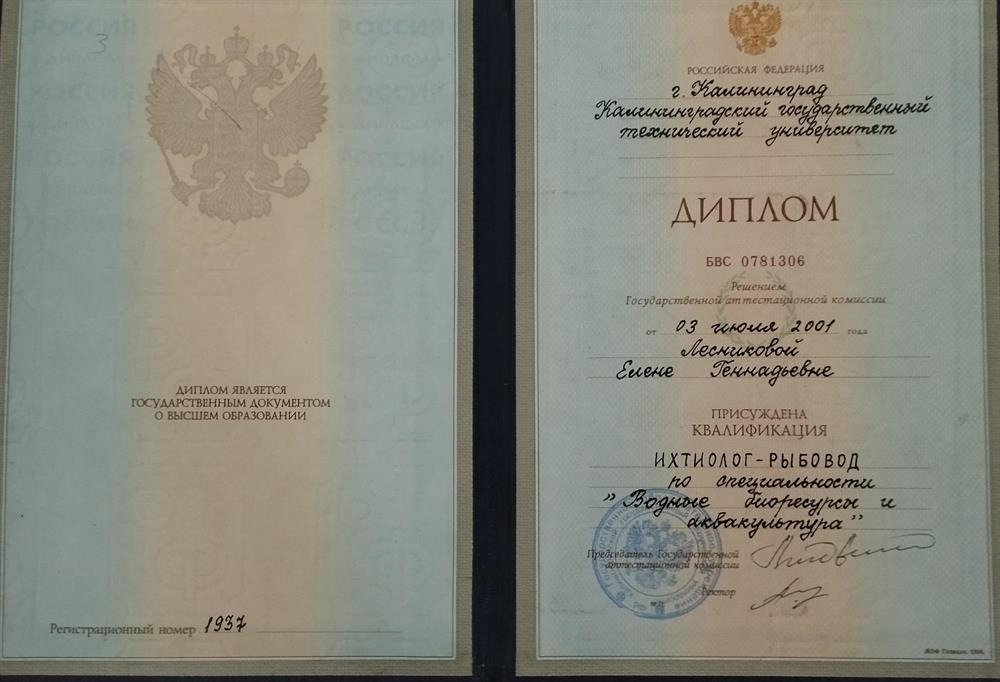 Диплом об окончании университета.