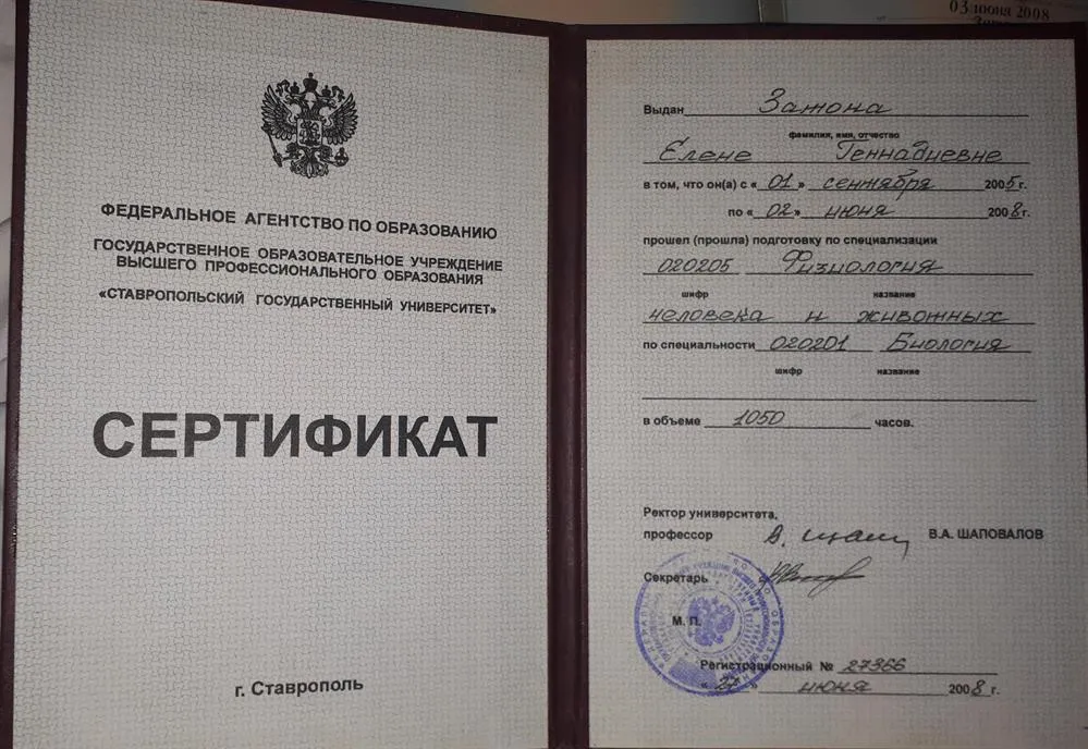 Сертификат