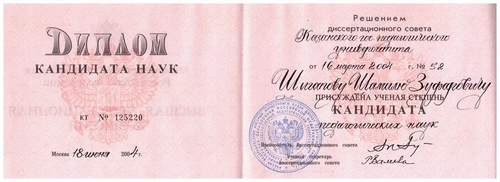 Диплом кандидата наук (2004)