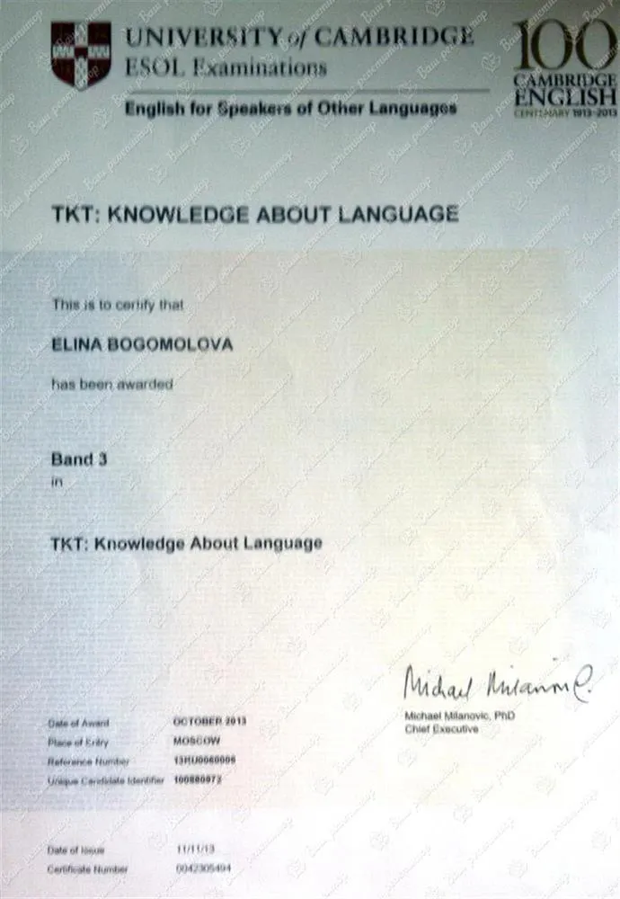 Teachers Knowledge about Language 1