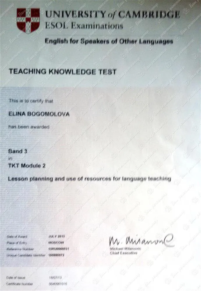 Teachers Knowledge about Language 4
