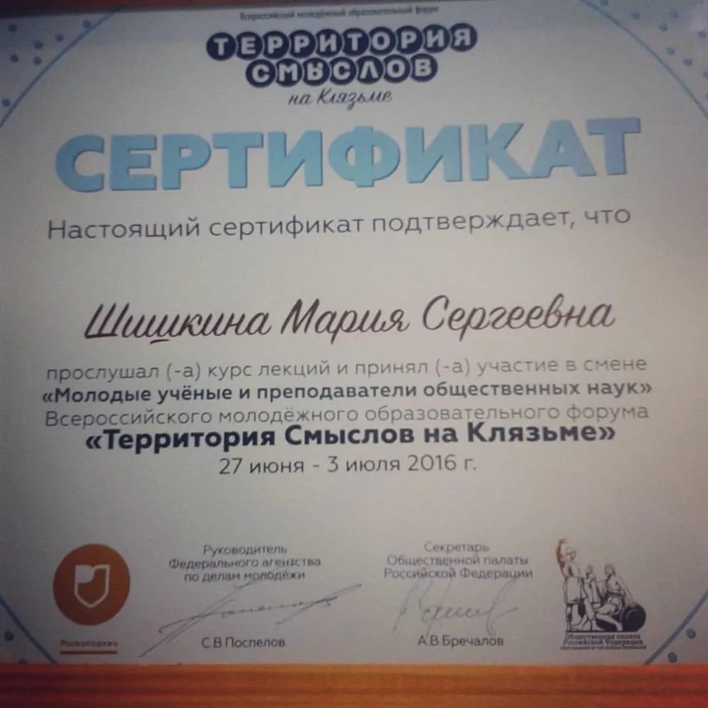 Диплом участника Всероссийского молодежного образовательного форума "Территория смыслов на Клязьме" 