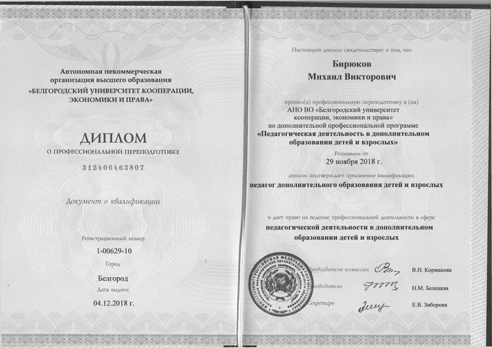Педагогическая деятельность в области дополнительного образования