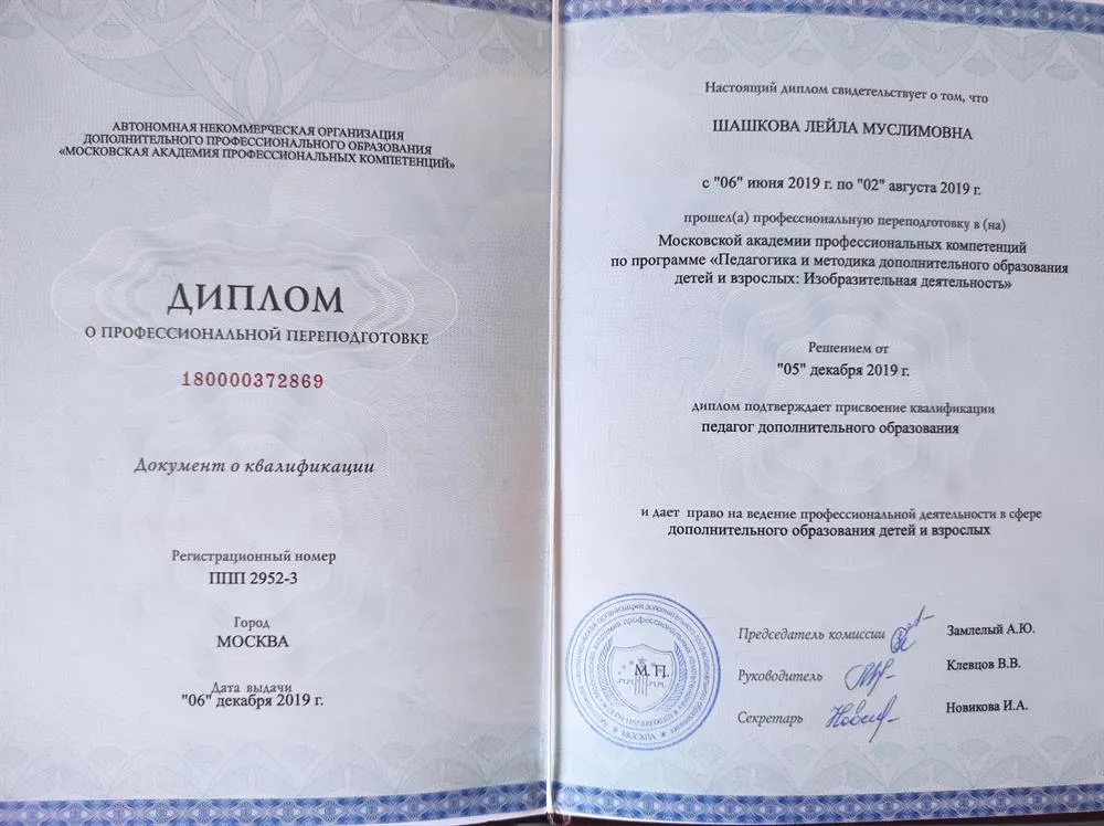 Диплом Педагог дополнительного образования. Изобразительная деятельность 