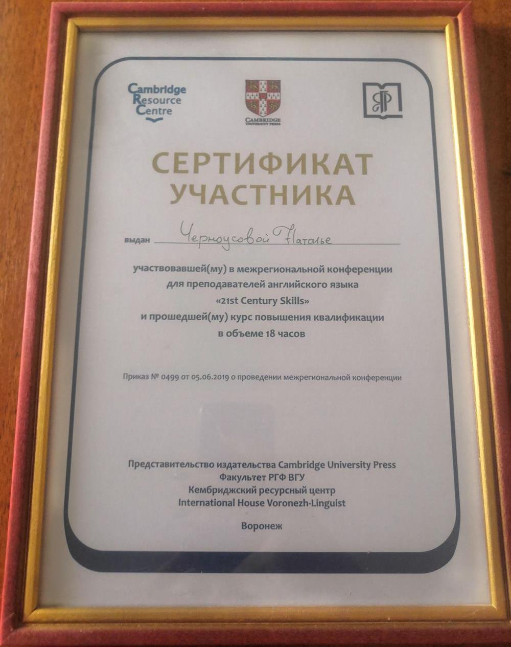 Сертификат "21st Century Skills"
