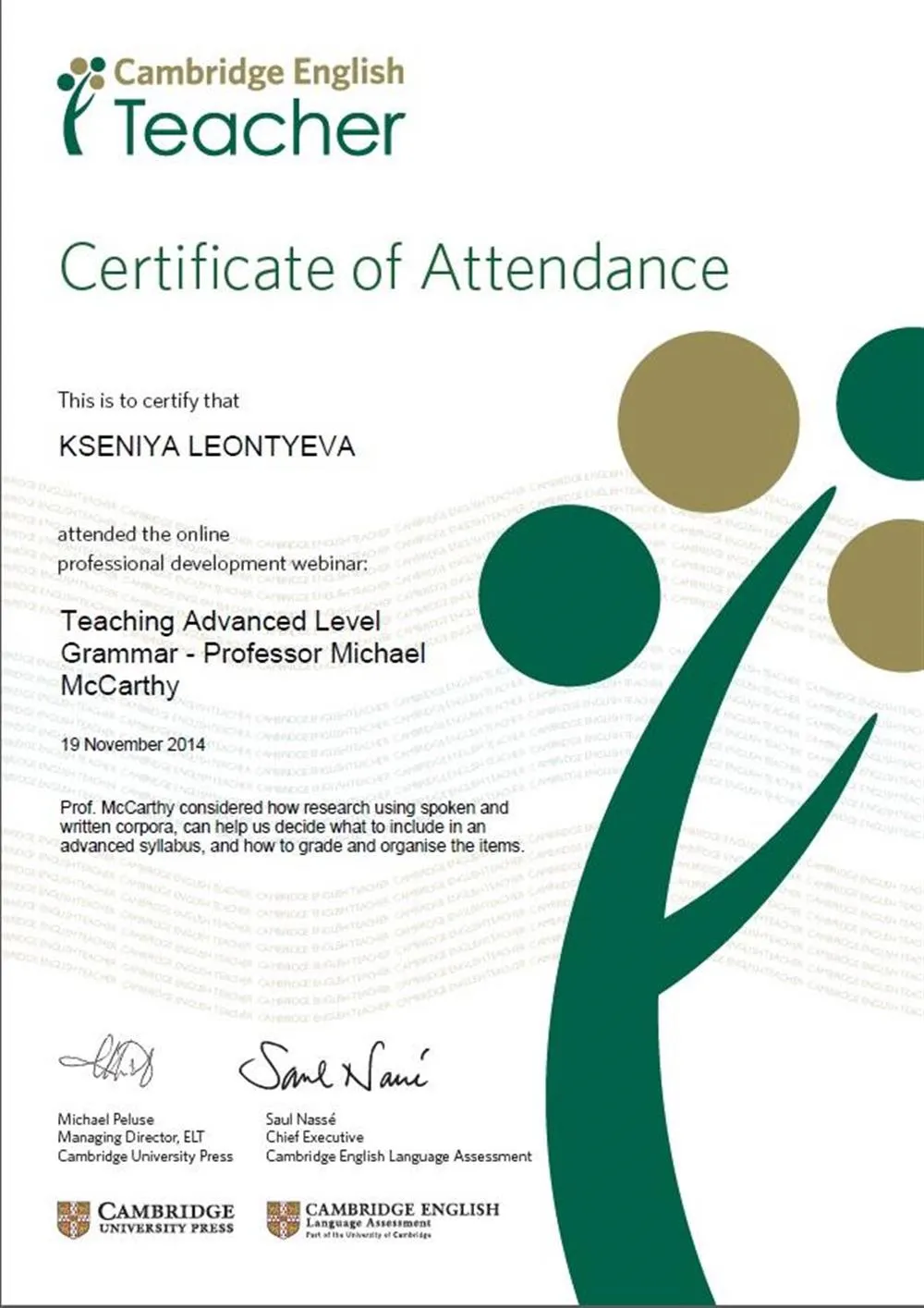 Вебинар "Teaching Advanced Level Grammar", Cambridge University, 2014