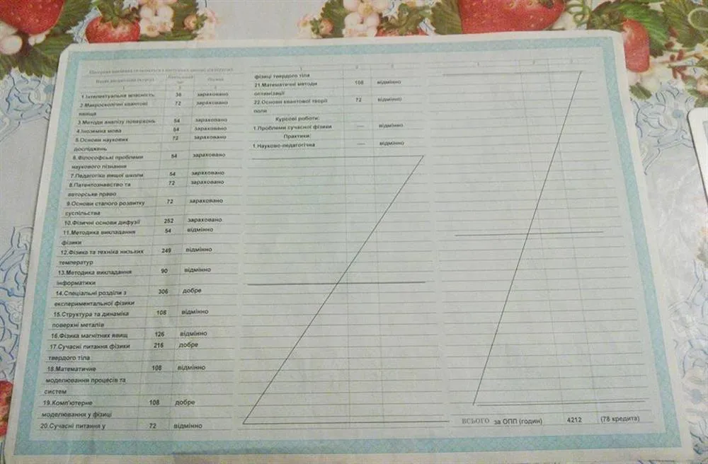 Приложение к диплому магистра