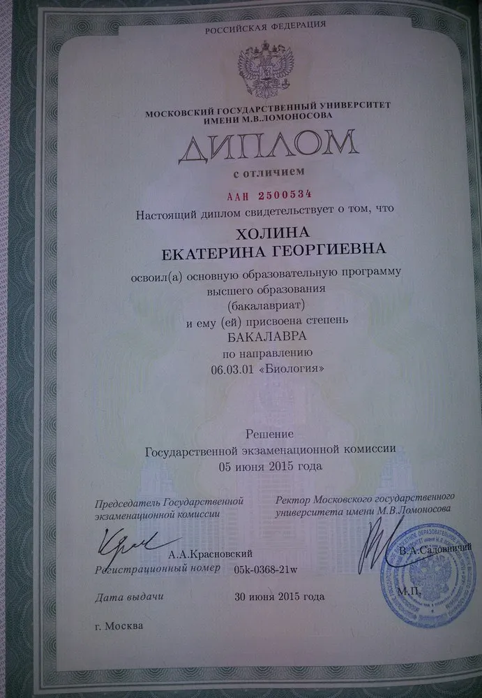 Диплом