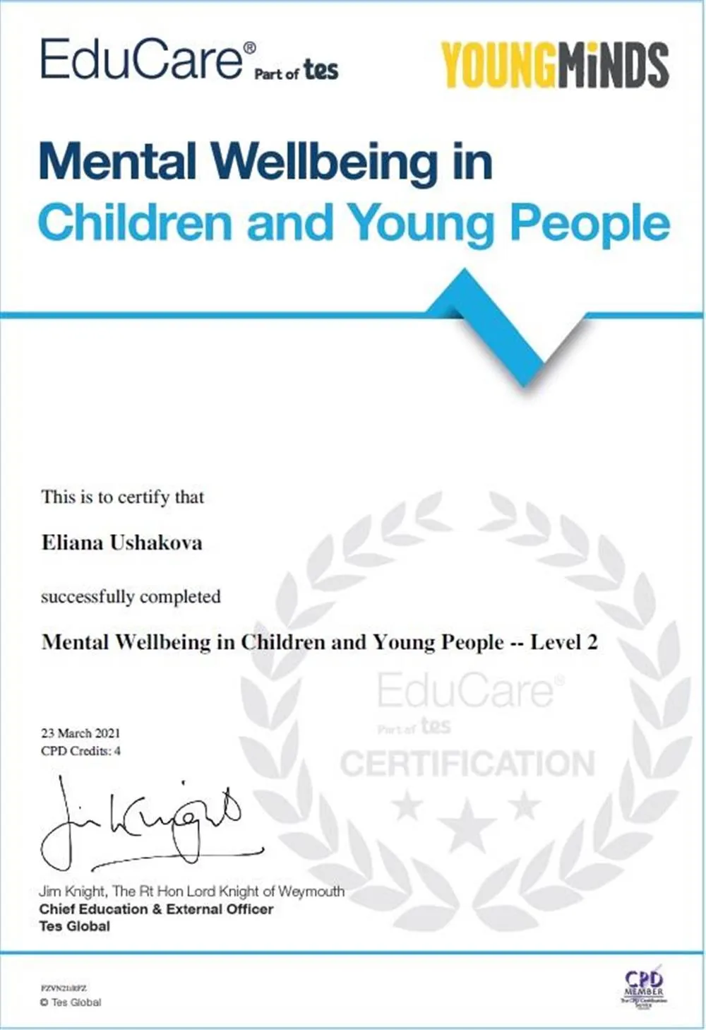 Mental Wellbeing in Children Certificate