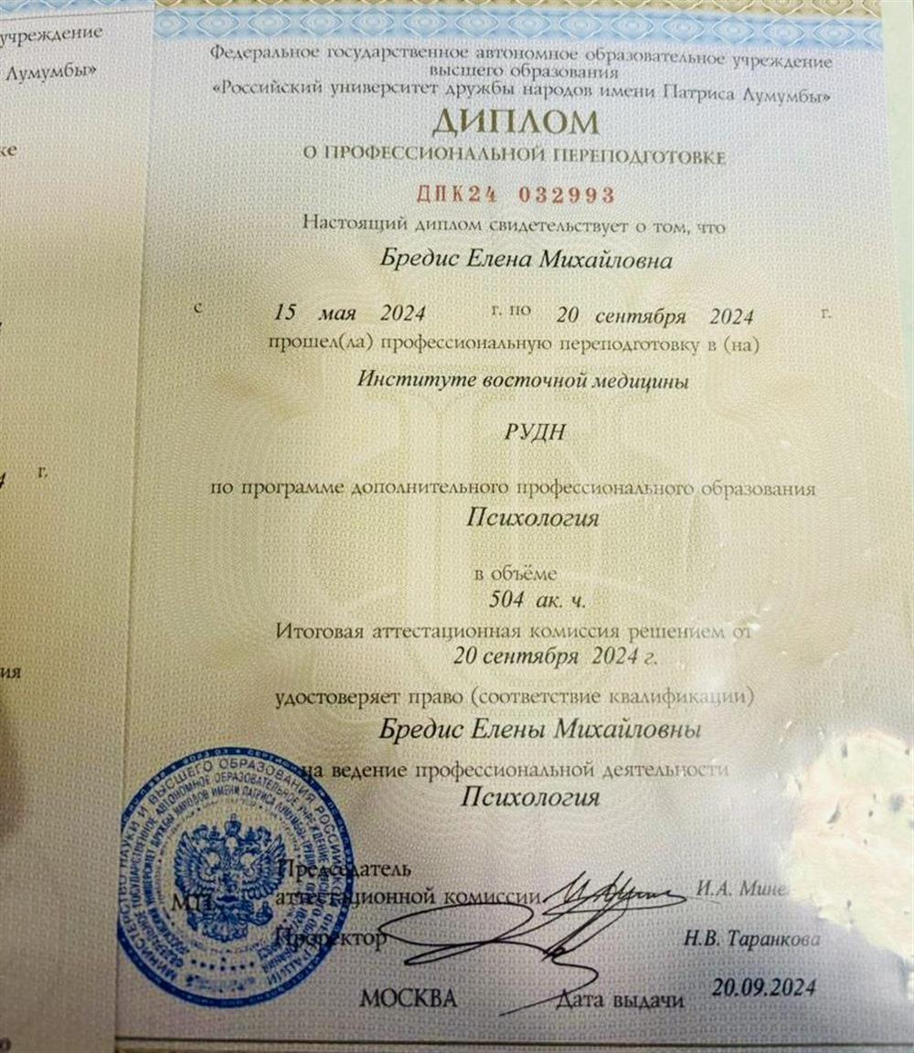 Диплом РУДН